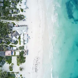 https://coco-tulum-beach-club-hotel.allrivieramayahotels.com